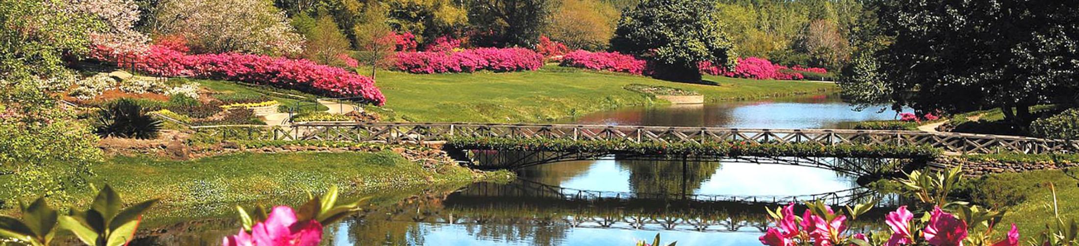 Bellingrath Gardens, an attraction located near our gulf coast college.