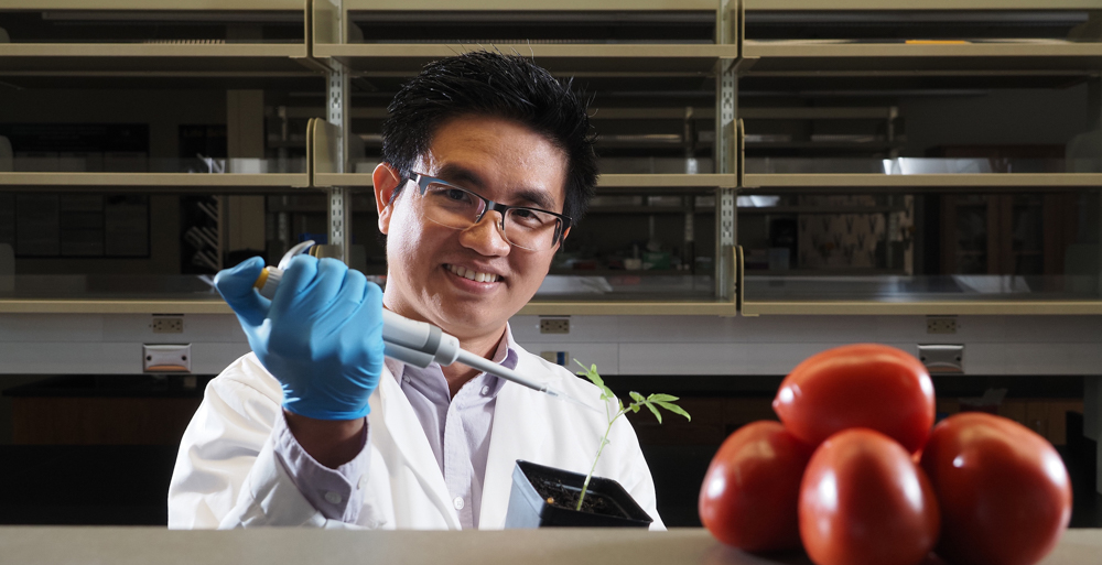 Dr. Tuan Tran, assistant professor of biology at the University of South 青涩直播, was awarded a $40,000 grant by the USDA and the 青涩直播 Department of Agriculture and Industries to study a soil-based bacterium causes wilt in crops such as tomatoes, peppers and potatoes. 